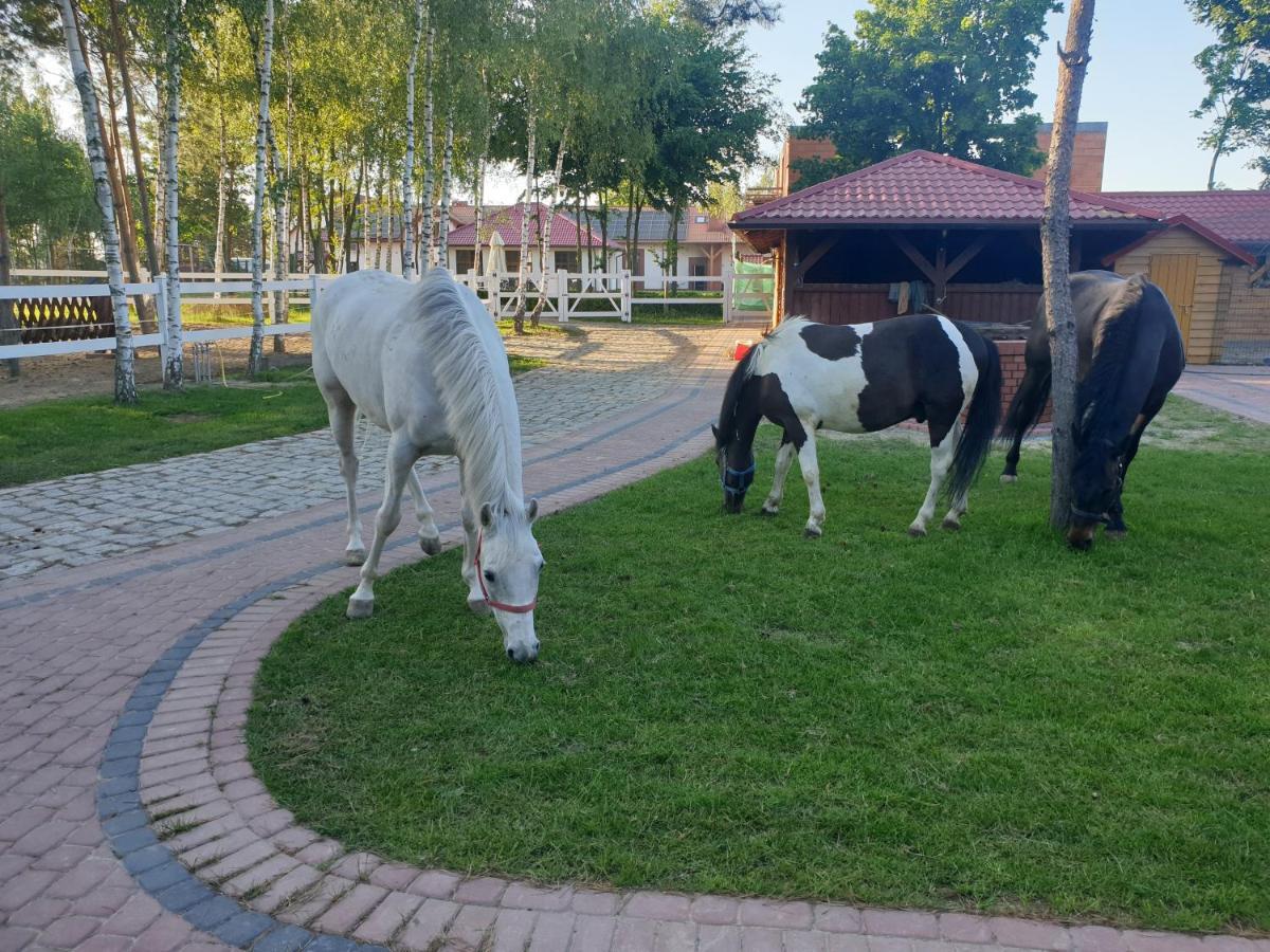Villa Osrodek Agroturystyczny Zacisze Giewartów Esterno foto